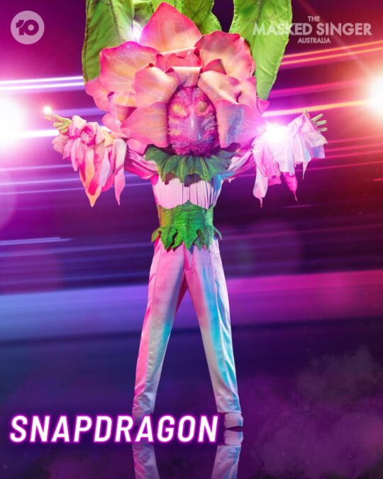 snapdragon masked singer