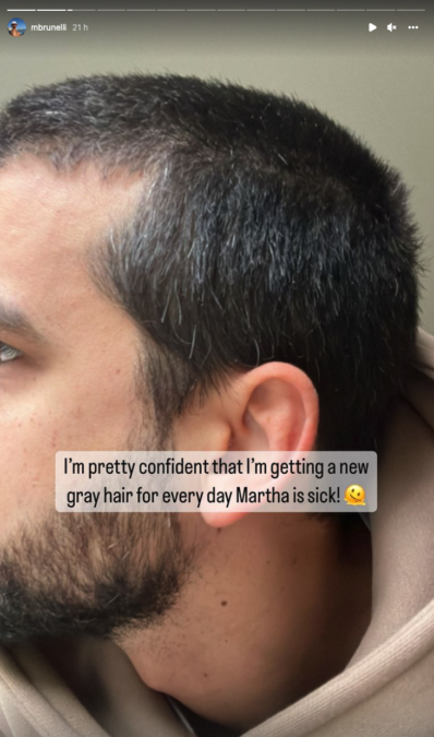michael brunelli grey hair