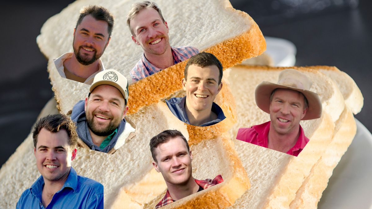 farmer wants a wife white bread