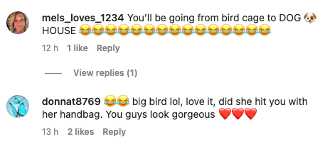 fans comments tim robards big bird