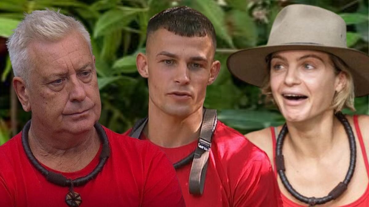 I'm a celebrity contestants reveal which cosmetic procedures they've had