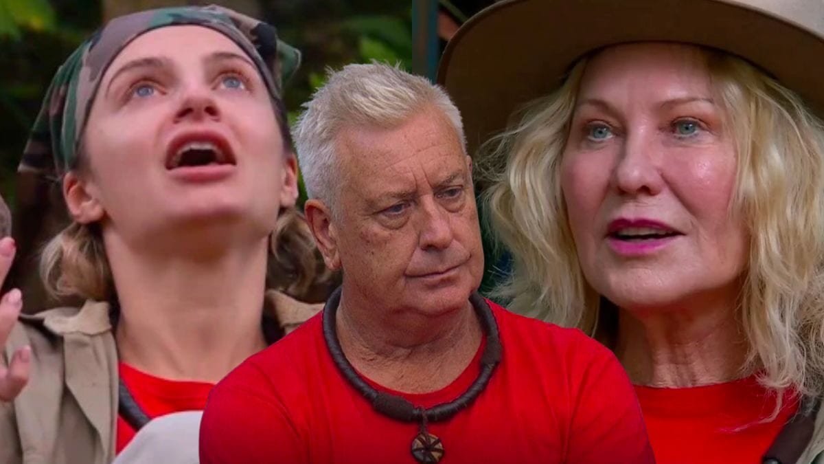im a celebrity dicko domenica kerri-anne fight