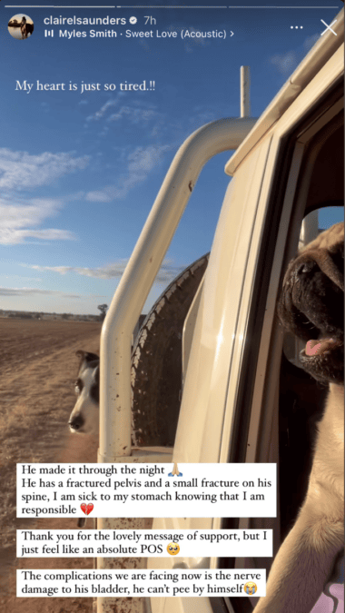 farmer wants a wife claire dog moe
